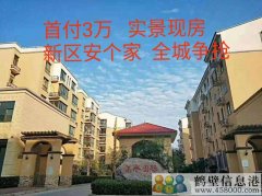首付3萬(wàn)，新區(qū)安個(gè)家